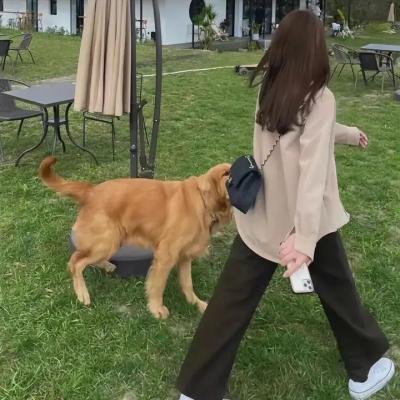 赌档家族