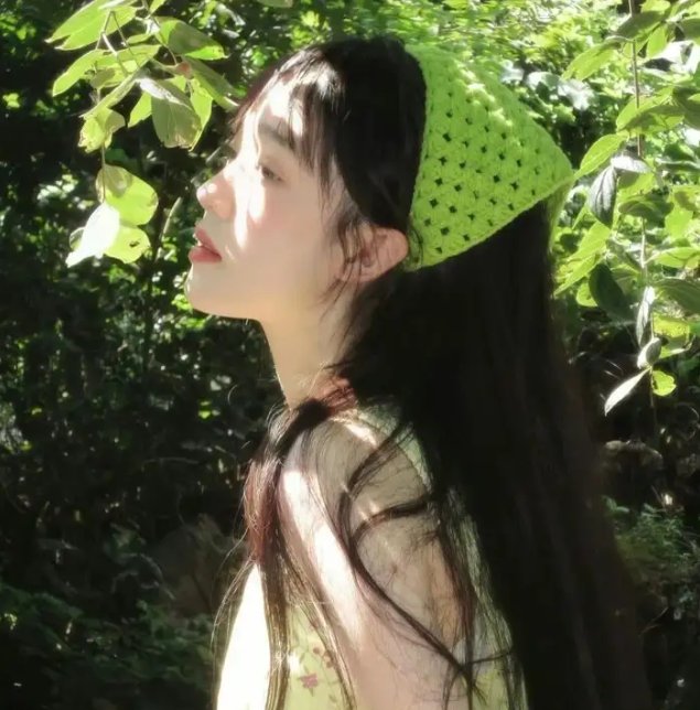 荷花淀、女人和枪